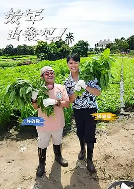 风起西州 电视剧海报